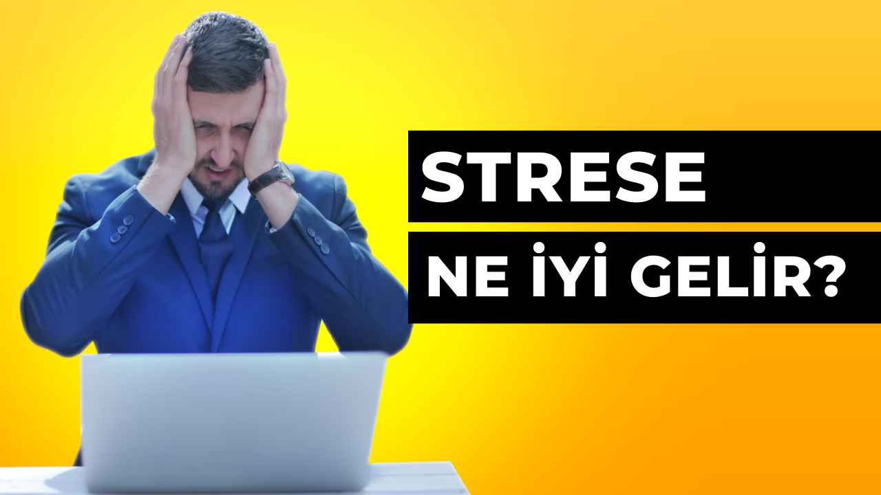 Stres Ne İyi Gelir?